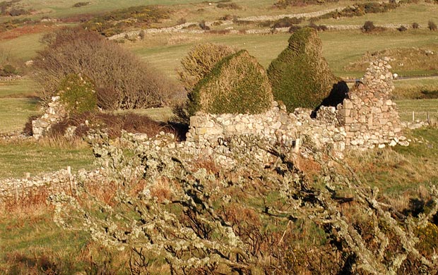 View of the old ruined house near Gutcher's Isle.