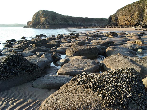 Looking back to Castle Point hill from the beach to the east of it.