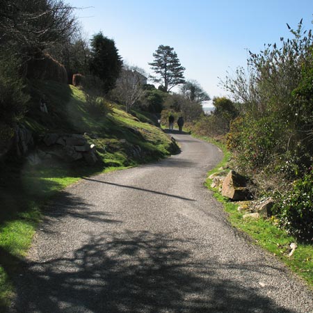 Shore road to Rough Island.