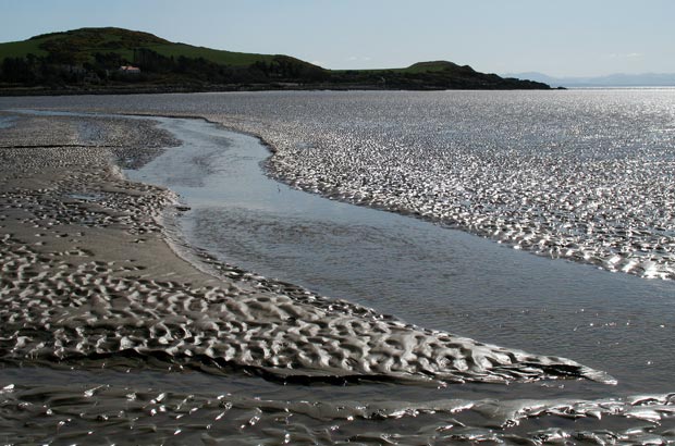 Streams through the mud on the way towards Castle Point.