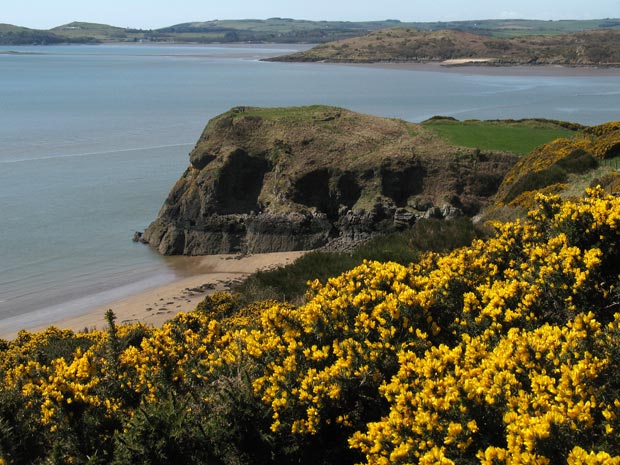 View of Castle Point and Rough Firth from Barcloy Hill.