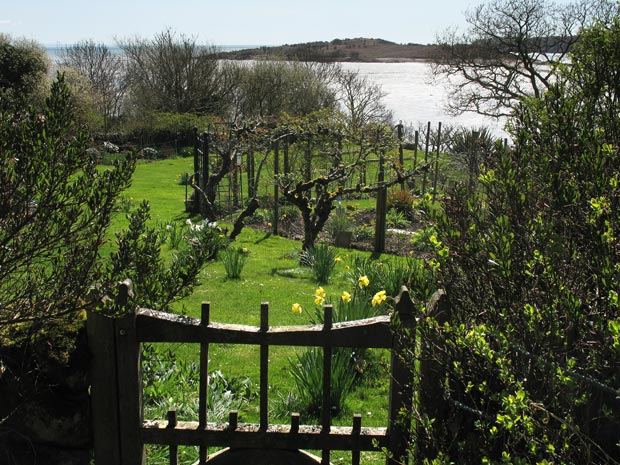 View across garden to Rough Firth from the shore path from Rockcliffe to Kippford.