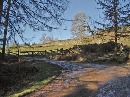 View of the point where you leave the forest track on the Screel hill walk