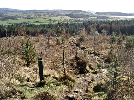 View of the path after you leave the forest track on the Screel hill walk