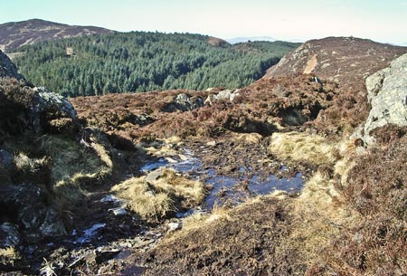 View looking westward towards Bengairn from the Screel ridge