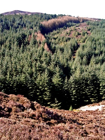 View towards Bengairn from the cairn at the west end of Screel ridge