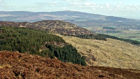 View of the east end of Screel from Bengairn with Criffel beyond