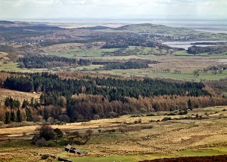 Approaching Foresthill on the way down from Bengairn