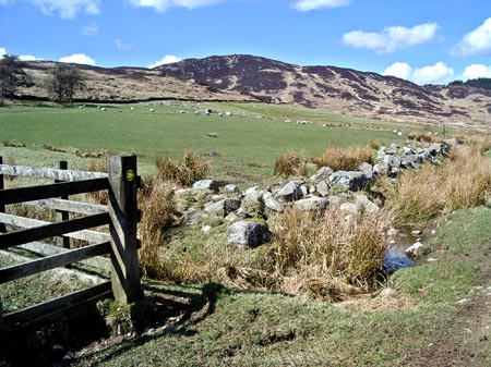 View back to Bengairn from near Foresthill