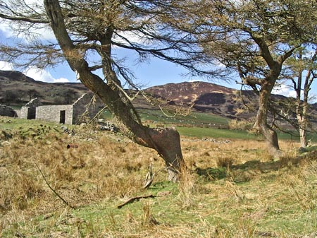 Foresthill with Bengairn in the background