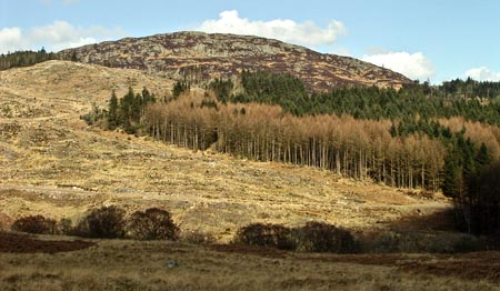 View of Screel from near Foresthill