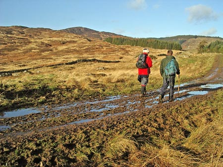 Walking along the vehicle track which takes you to Foresthill from Bengairn Loch