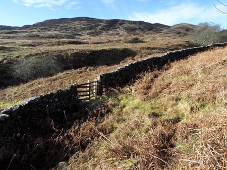 View of Bengairn from the gate at the end of the forest road which goes up Troudale Gill