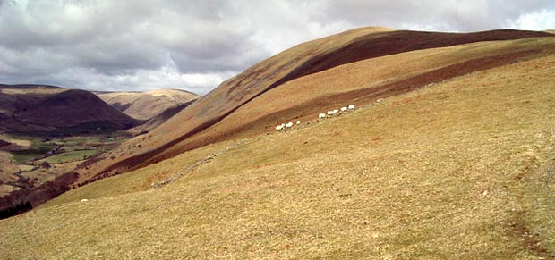 View along Woodend Craig with the Scaur valley to the south