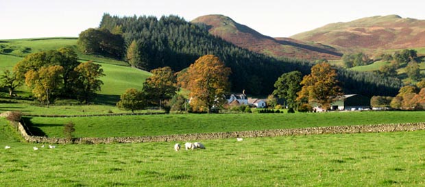 View of Tynron Doon and Auchengibbert from the road near Scaur Water