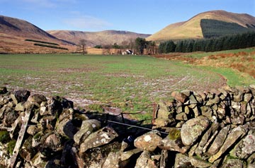 Holm Burn to Windy Standard