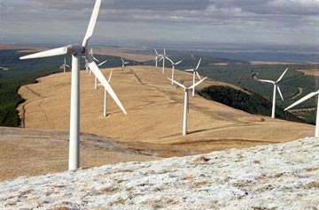 Windmills on Jedburgh Knees Windy Standard