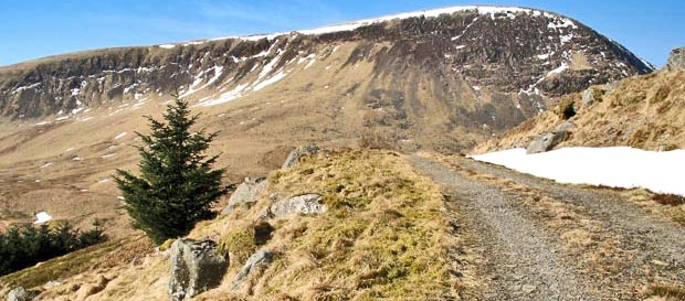 Beninner from the vehicle track above Moorbrock house.