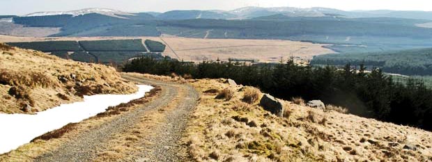 View back down the vehicle track towards Moorbrock house