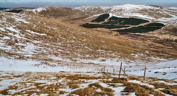 Windy Standard and Keoch Rig from the saddle between Beninner and Cairnsmore of Casphairn.