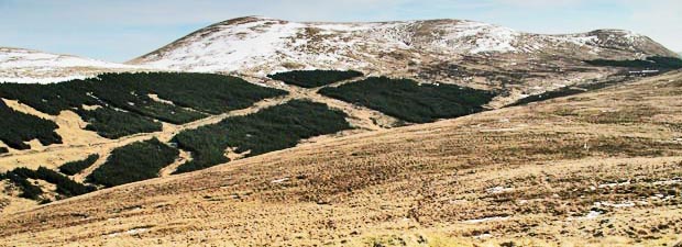 Moorbrock Hill and the route to it from the Bow Burn