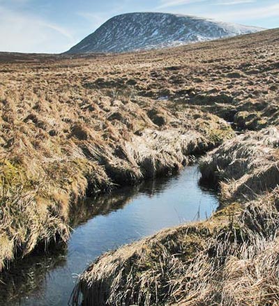 Beninner from the Bow Burn