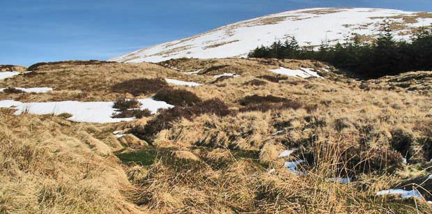 View onto Moorbrock Hill as we leave the vehicle track