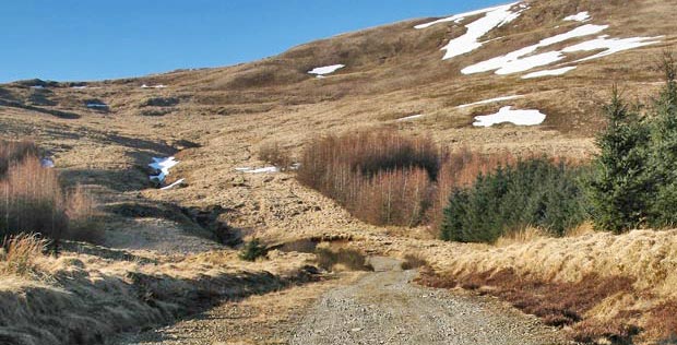 View from the track to the gap in the trees